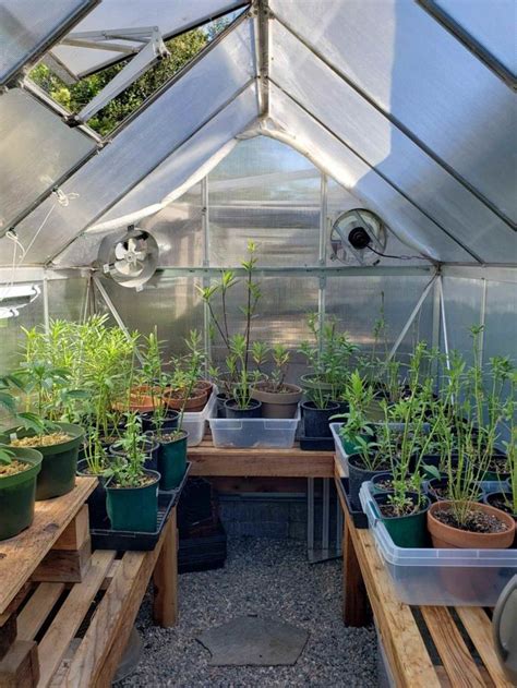 A Beginners Guide To Using A Hobby Greenhouse Backyard Greenhouse