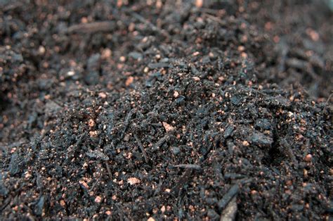 In malaysia, peat soils are considered as a soil with little economic benefit, apart from it being used for agricultural activity. What are the alternatives to using peat compost? RHS ...