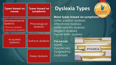 What Are The 12 Types Of Dyslexia Edublox Online Tutor