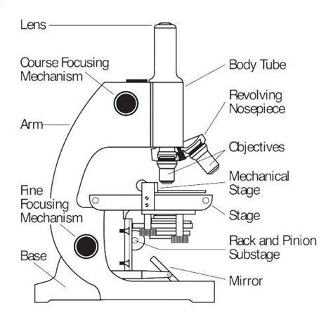 Describe The Function Of Each Of The Parts Of A Light Microscope Thank