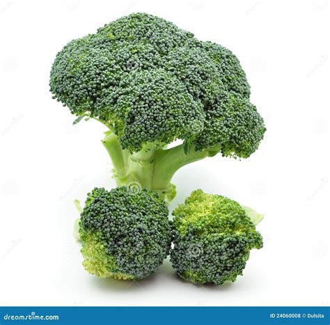 Broccoli Stock Photo Image Of Tasty Health Vitamin 24060008