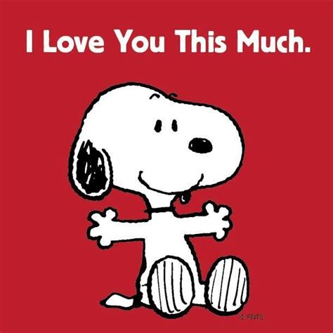 I Love You This Much Images Snoopy Snoopy Pictures Snoopy Frases