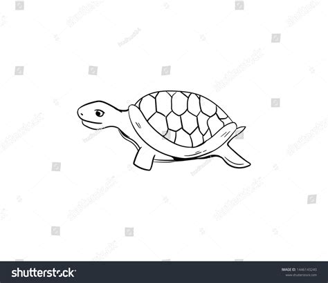 Turtle Doodle Vector Hand Drawing Stock Vector Royalty Free