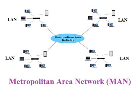 Network Types Of Computer Network Lan Man And Wan Vidyagyaan