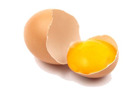 Free Egg Png Transparent Download Free Egg Png Transparent Png Images