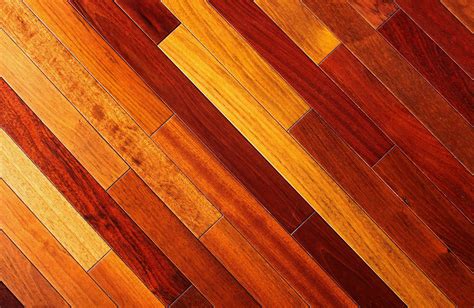 How To Identify Wood Flooring Wood Flooring Wikipedia The Raw