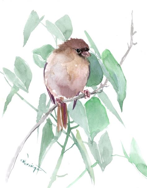 Sparrow Watercolor Painting Etsy