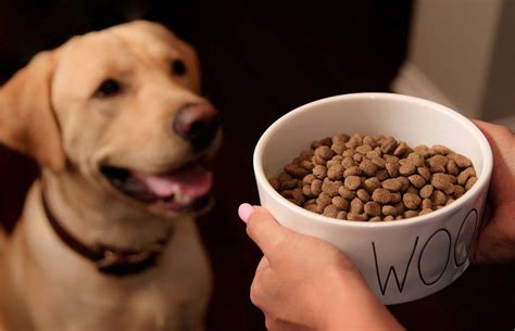 Come shop our deals today! Dog Food | Natures Select
