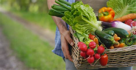 SNAP Benefits Reimagined: How Else You Can Benefit – Family Benefit Support