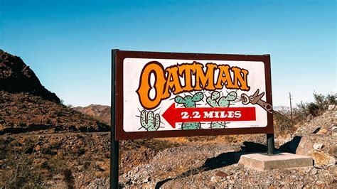 In Search Of Donkeys The Experience Of Route 66 To Oatman Az — Out Of