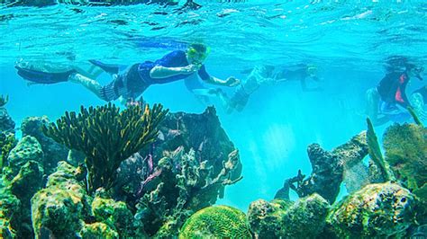 A Guide To Snorkeling The Belize Barrier Reef Belize Travel Central