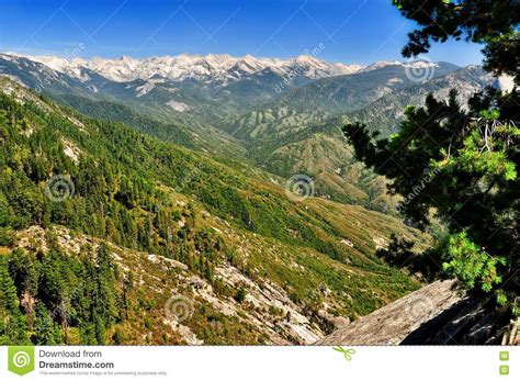 Kings Canyon Summer Landscape And Trees Stock Photo Image Of Nature