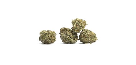 Blueberry Kush Strain Review Indica That Knocks You Out