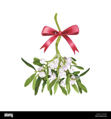 Christmas Mistletoe Branch With Red Ribbon Bow Isolated On White
