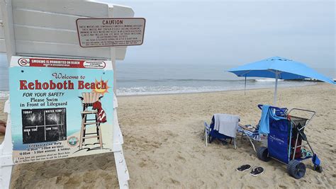 water advisories at delaware beaches the facts about fecal bacteria