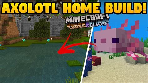Minecraft Axolotl Home