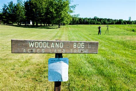 Woodland Bog Nature Preserve June 21 2017 Bloomington Indiana
