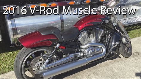 2016 Harley Davidson V Rod Muscle Motorcycle Review Youtube