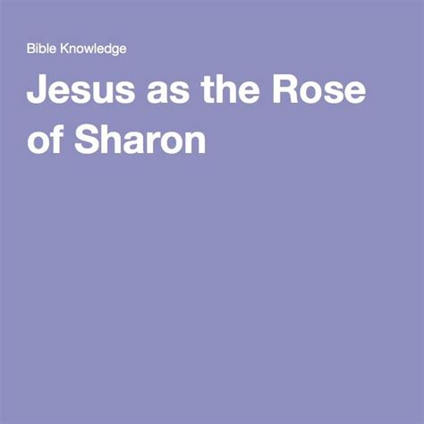 Jesus As The Rose Of Sharon Rose Of Sharon Sharon Jesus