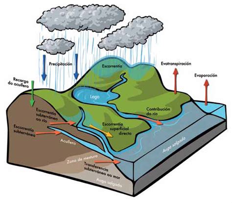 Climántica Los Procesos Del Ciclo Hidrológico