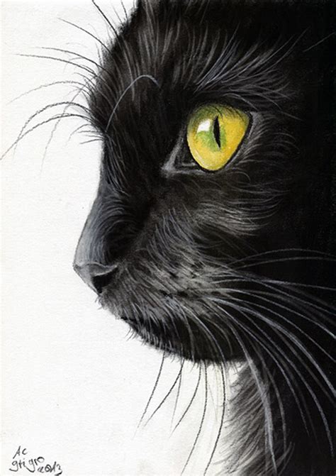 30 Best Cat Cartoons Images On Pinterest Cat Art Cat Drawing And