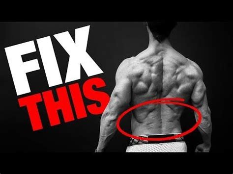 How To Get A Strong Low Back DO THIS EVERY DAY Fit Exposed Reps