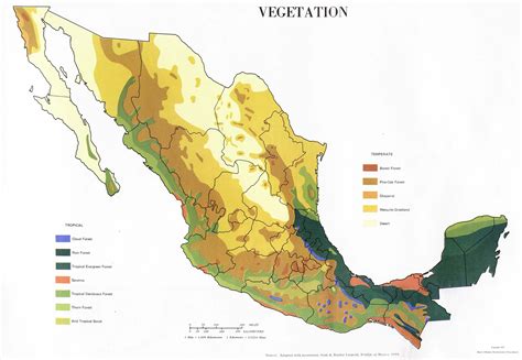 Vegetation Map Of Mexico Cyndiimenna