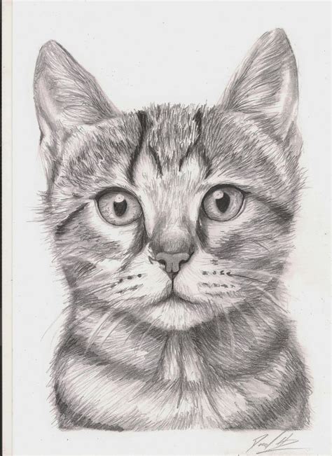 10 Dibujo A Lapiz De Un Gato