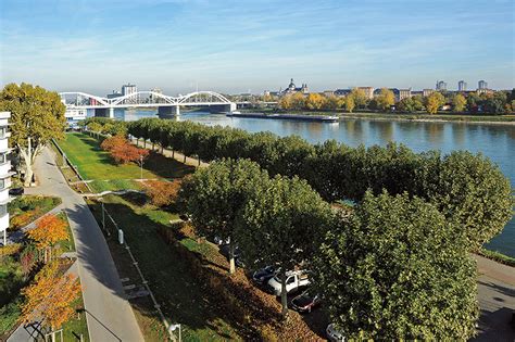 49 geprüfte anwälte in ludwigshafen am rhein echte bewertungen alle rechtsgebiete alle fachanwälte ▶ kompetente rechtsberatung von einem anwalt in ihrer nähe! Lage | LUIT_PORT LUDWIGSHAFEN
