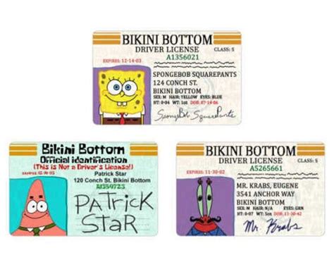 Spongebob Squarepants Id Card