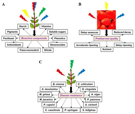 Molecules Free Full Text An Overview Of Leds Effects