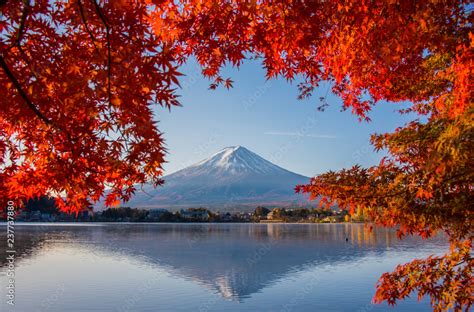 Mount Fuji Autumn In Mt Fuji Japan Lake Kawaguchiko Colorful