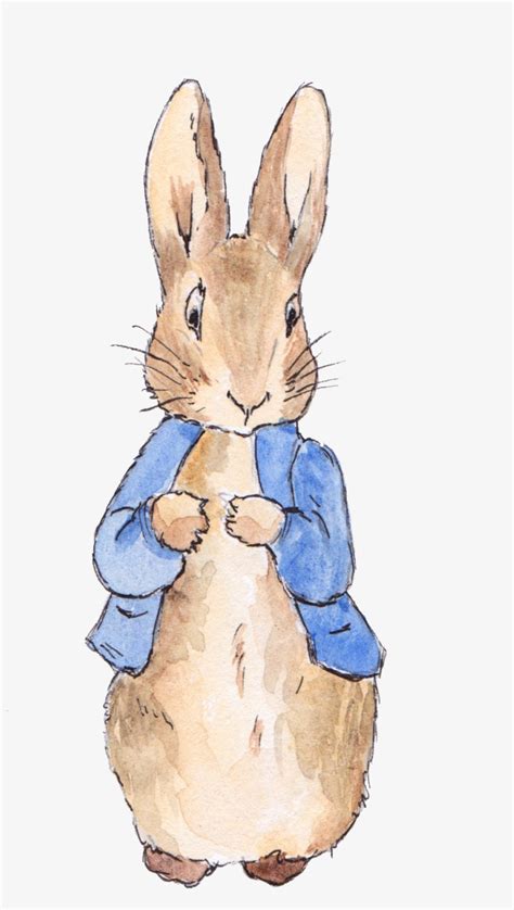 Rabbit Png Peter Rabbit Watercolor Clipart Digital Clip Art Wall | The