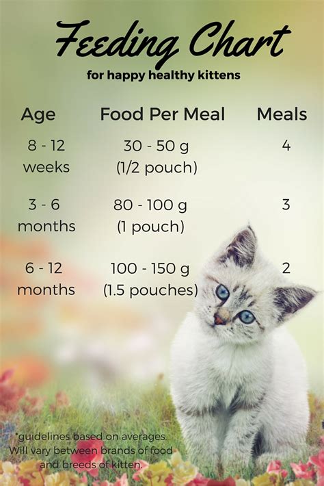 Feeding Chart For Kittens