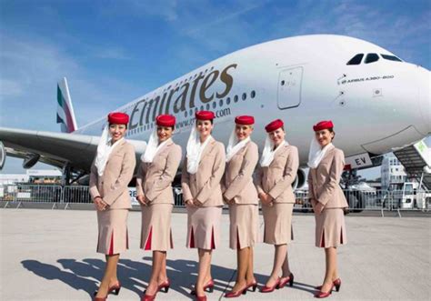 what is a cabin crew member cabin photos collections