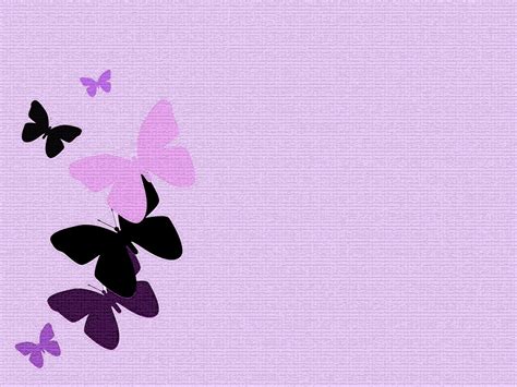 Pink Purple Butterfly Background Wallpaper Pink And Purple