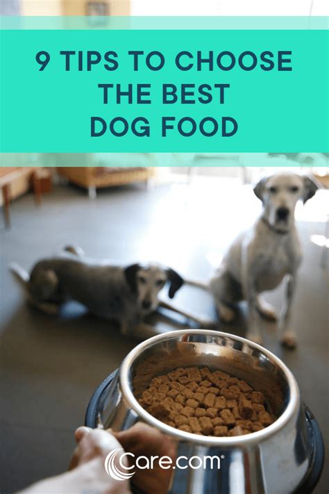 What's the best dog food brand? 9 Expert Tips For Choosing The Right Brand Of Healthy Dog ...