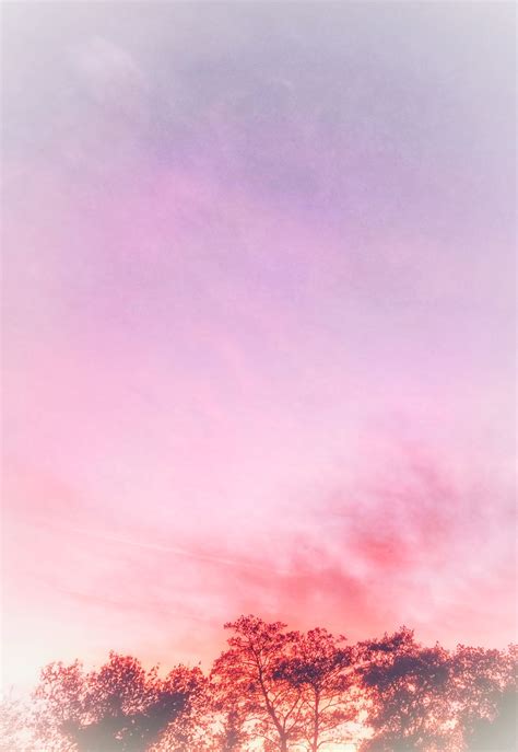 8 Pictures Of Aesthetic Anime Sunset Background