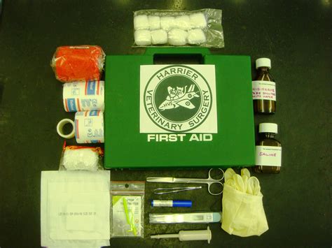 What Do I Need In A Pet First Aid Kit Vet Help Direct