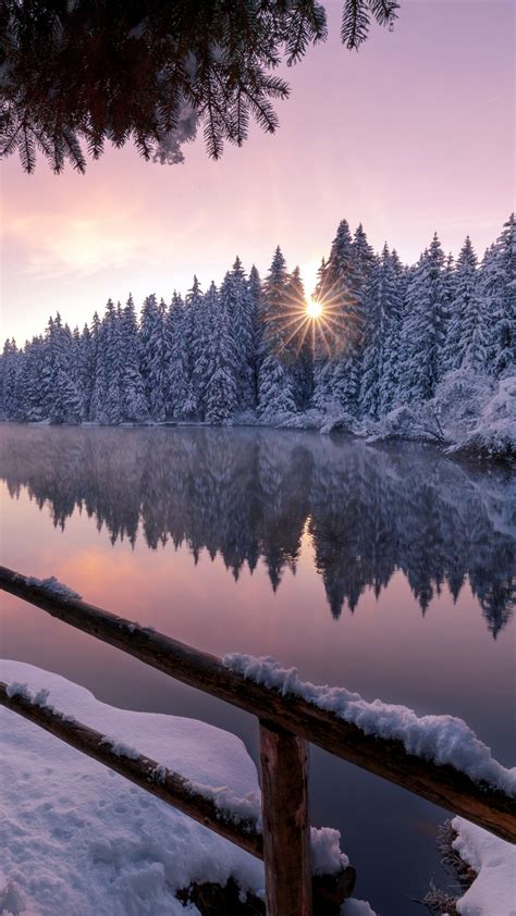 2160x3840 Winter Snow Trees Nature Outdoors Sony Xperia Xxzz5 Premium Hd 4k Wallpapersimages