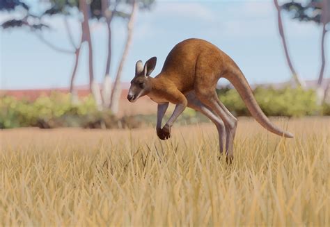 Add complete, get the best professional monitoring value available. Red Kangaroo - Planet Zoo