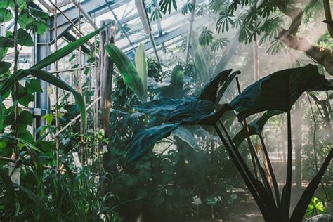 Check spelling or type a new query. Lieblingsorte #1: Der Botanische-Garten in Greifswald ...