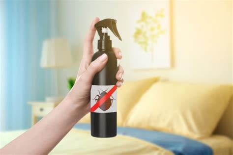 Top coupon including 10% off : Do-it-Yourself Bed Bug Treatment | DIY Bed Bug Removal in ...
