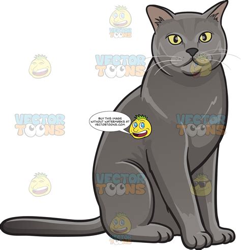 Grey Cat Images Cartoon Image Of Cat