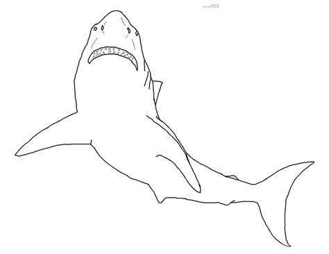 Great White Shark Coloring Page