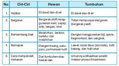 Perbedaan antara sel tumbuhan dan sel hewan adalah: Persamaan Dan Perbedaan Ciri Kehidupan Hewan Dan Tumbuhan ...