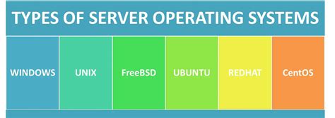 Features And Types Of Server Operating Systems Know Computing