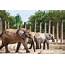 Dubai Safari Park To Reopen With New Animals Adventures