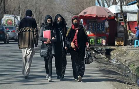 unsc members urge afghan taliban to void bans on women pakistan top source for latest news
