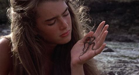 Brooke Shields The Blue Lagoon 1980 1280×696 Brooke Shields